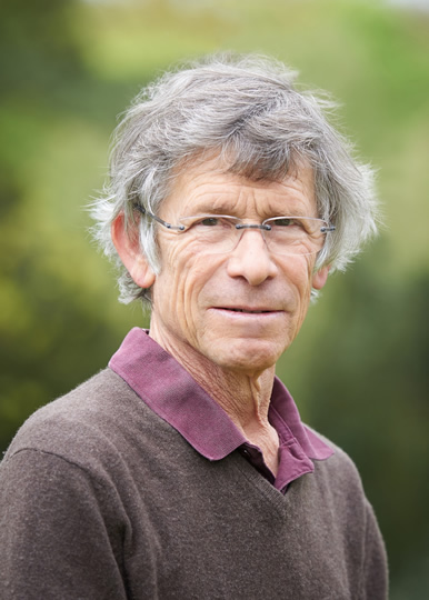 Peter A. Mark